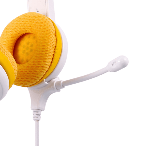 BuddyPhones School+ Boom Microphone